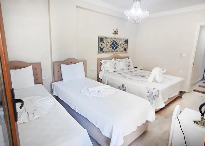 Accommodatie bij particulieren Ephesus Palaces Selçuk