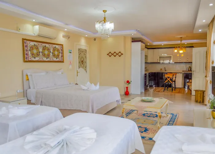 Accommodatie bij particulieren Ephesus Palaces *