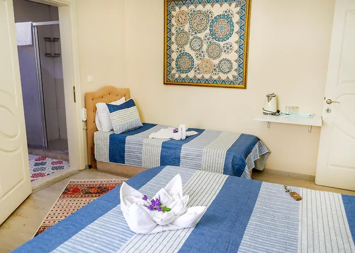 Accommodatie bij particulieren Ephesus Palaces